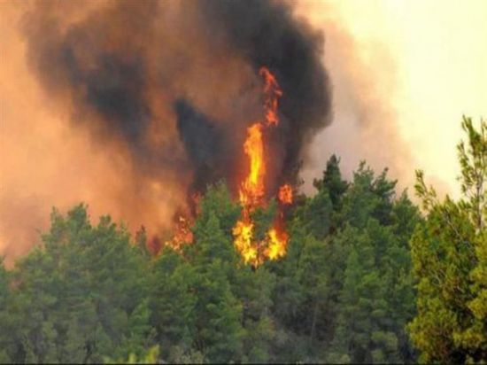 إنقاذ 10 أشخاص من حرائق غابات أستراليا