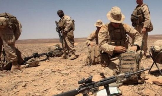 الولايات المتحدة تبحث إمكانية استئناف الدعم  العسكري لقوات محاربة الإرهاب في اليمن