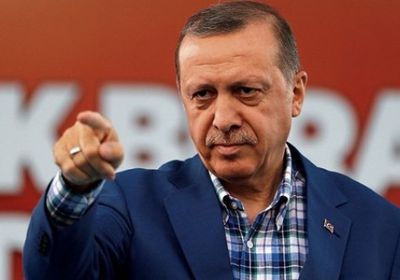 صحفي يكشف مخطط أردوغان الخطير على المنطقة