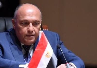 مبعوث "ماكرون" بالقاهرة لمناقشة آخر التطورات السورية