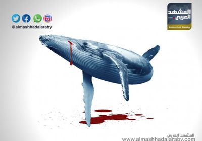 الحوت الأزرق.. لعبة تحصد أرواح المراهقين والأطفال (انفوجرافيك)