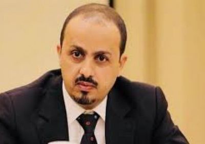 أول رد من حكومة هادي على تصريحات الحوثي بشأن تسليم الموانئ