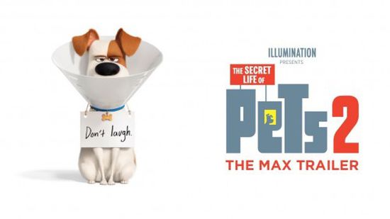 شركة Universal تطرح إعلان فيلم The Secret Life Of Pets 2