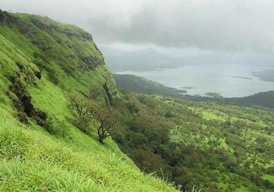 هرهرة يلفت انتباه الجنوب إلى محافظة المهرة الحدودية مع عُمان