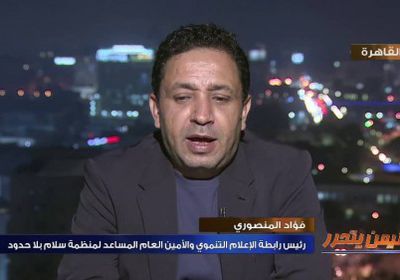 صحفي مصري يكشف كواليس المشاورات التي سبقت إصدار القرار الأممي الأخير