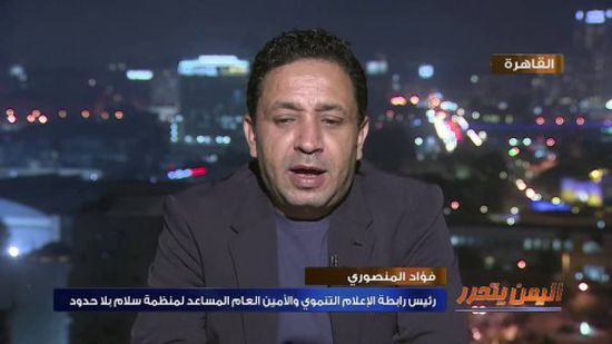صحفي مصري يكشف كواليس المشاورات التي سبقت إصدار القرار الأممي الأخير