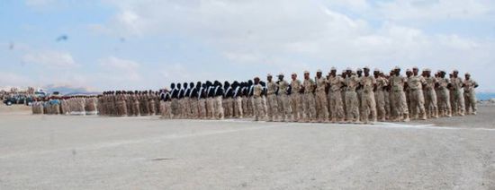  ناطق المنطقة العسكرية الثانية يرصد إنجازات القوات في 2018
