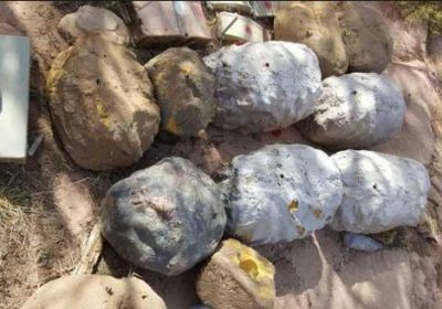 ألغام حوثية على هيئة أشجار وحجارة (تفاصيل)