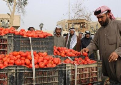 هل تقف إيران وراء وباء " الطماطم " الذي ضرب العراق؟