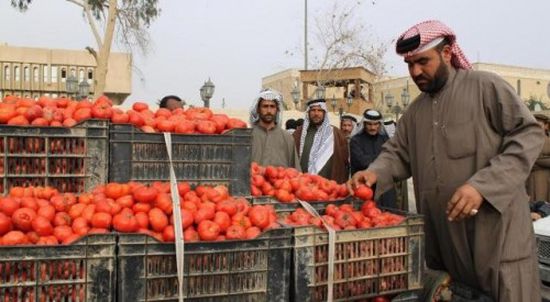 هل تقف إيران وراء وباء " الطماطم " الذي ضرب العراق؟