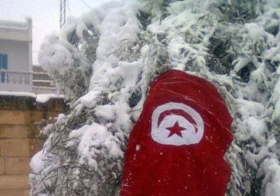 ثلوج كثيفة تتسبب في تعطيل الدراسة بعدة مدن تونسية (صور)