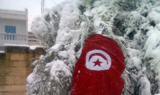 ثلوج كثيفة تتسبب في تعطيل الدراسة بعدة مدن تونسية (صور)
