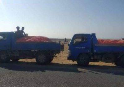 إجراءات عقابية بحق المخالفين لقانون المرور في المهرة