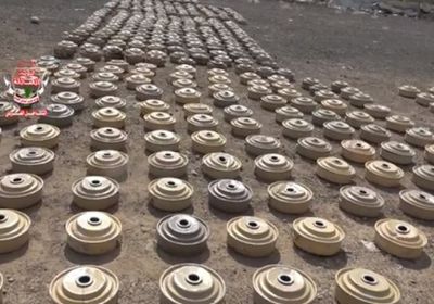 ضربة جديدة من ألوية العمالقة للحوثيين في الحديدة «فيديو»