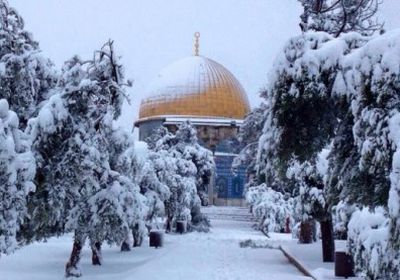 زواتي تعلق على الثلوج في القدس