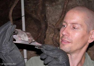 دراسة: قريبًا سم الخفاش لعلاج أمراض بشرية خطيرة