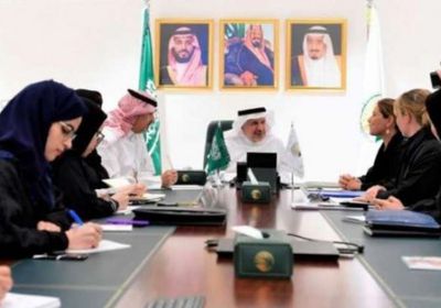 مركز الملك سلمان يبحث التعاون مع منسقة الشؤون الإنسانية باليمن