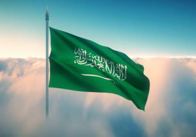 سياسي: السعودية أسقطت مشروع دول لتدمير اليمن ومصر