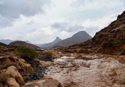 أمطار مدينة تبوك تُبرز جمالها