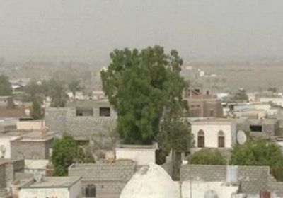 مليشيات الحوثي تقصف مواقع العمالقة ومنازل المواطنين في الحديدة