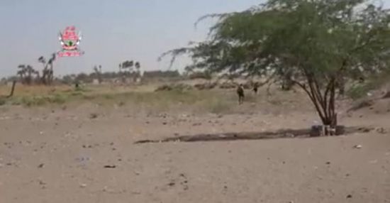 "العمالقة" تحبط هجوماً مسلحاً لمليشيات الحوثي في الجبلية بالتحيتا 