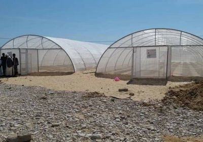 بدعم سعودي.. إطلاق مشروع البيوت الزراعية المحمية بمديرية الغيضة رسمياً