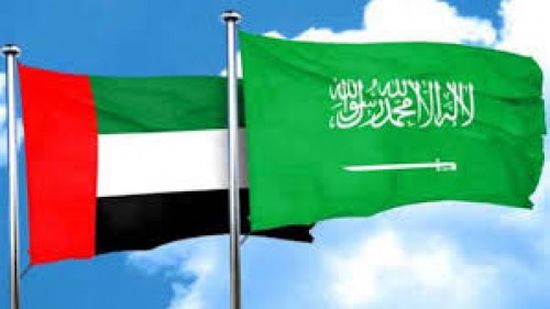 سياسي: "الإمارات والسعودية أوقفوا مشروع إيران بالمنطقة"