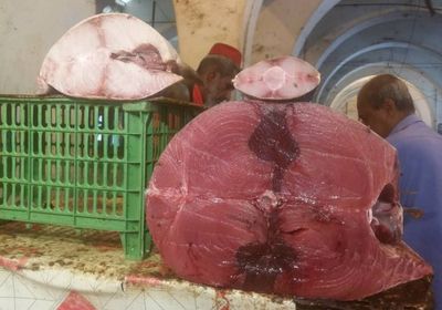 مواطنو عدن يشكون ارتفاع أسعار اللحوم والأسماك (بالأرقام)