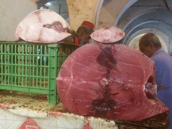 مواطنو عدن يشكون ارتفاع أسعار اللحوم والأسماك (بالأرقام)