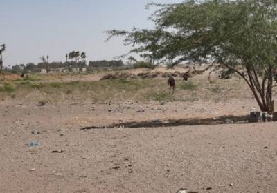 مليشيات الحوثي تقصف مواقع العمالقة ومنازل المواطنين في الجبلية بالحديدة 