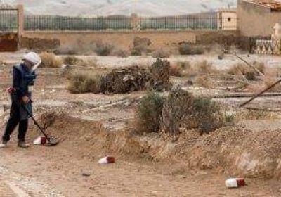 مشروع مسام.. ينزع ألغام الحوثي ويبث الطمأنينة في نفوس اليمنيين