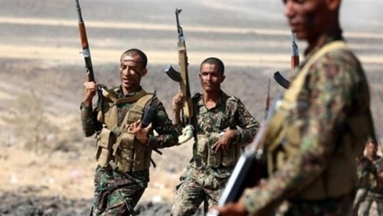 قيادي حوثي يأمر أفراده بالانتحار.. شاهد ما حدث له (فيديو)