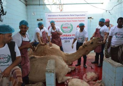 توزيع لحوم على أكثر من ألف أسرة نازحة في تعز بدعم هولندي 