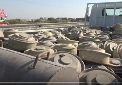 الفرق الهندسية لألوية العمالقة تنتزع مئات الألغام في الحديدة.. (فيديو)