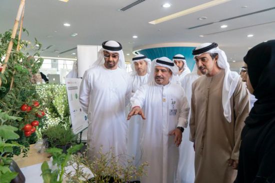 بن زايد: جامعة الإمارات صرح وطني يعود بنا إلى مرحلة التأسيس