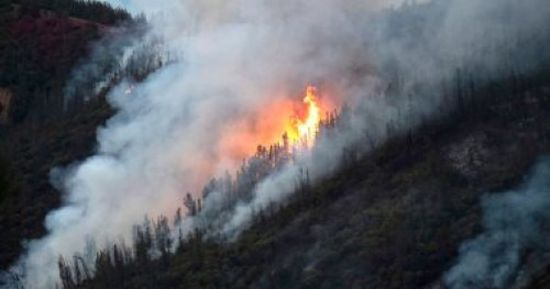 نيوزلندا: إجلاء 700 شخص من بلدة "ويكفيلد" بسبب حريق الغابات
