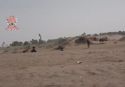 بقذائف الهاون والآر بي جي.. مليشيات الحوثي تستهدف مواقع "العمالقة" في الجبلية بالحديدة 