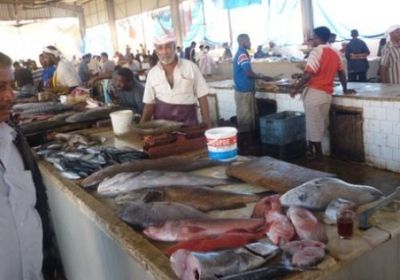 أسعار الخضروات واللحوم في حضر موت اليوم الأحد 