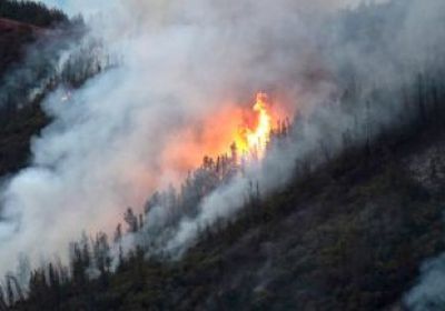 الحماية المدنية السويدية: نفتقر للإمكانيات البشرية