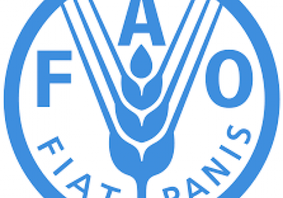 الانتهاء من برنامج أممي حول صحة الحيوان بعدن