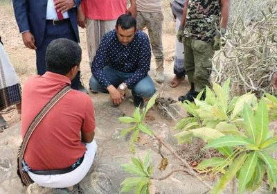 زيارة خاصة من محافظ سقطرى لثاني أكبر موقع أثري بالمحافظة