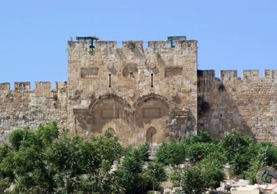 مخطط إسرائيلي لتحويل باب الرحمة إلى كنيس يهودي