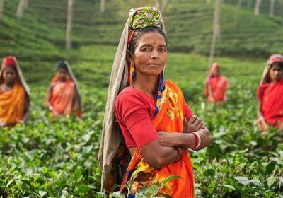 اليونسكو تحتفي باليوم العالمي للغة الأم