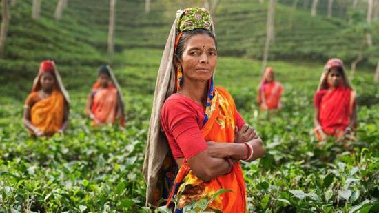 اليونسكو تحتفي باليوم العالمي للغة الأم