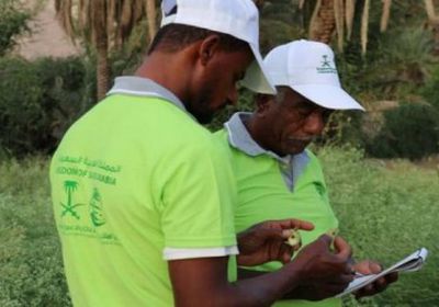 مركز الملك سلمان ينفذ دورة عن مكافحة الآفات الحشرية في تريم بحضرموت