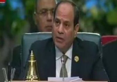الرئيس المصري يعرب عن أمله فى الوصول لرؤية مشتركة للتعامل مع تحديات العالم 
