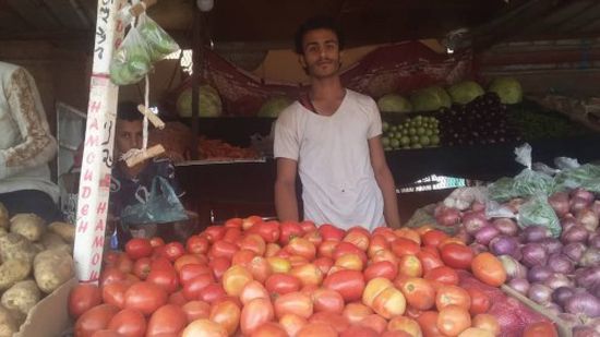 ارتفاع جنوني في أسعار الطماطم بسوق الحبيلين بردفان 