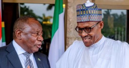 حملة بخاري: نستعد للاحتفالات بفوزه فى الانتخابات الرئاسية 