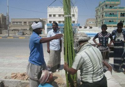 بغرس 50 نخلة.. تدشين مشروع تشجير المدخل الغربي لمدينة الشحر
