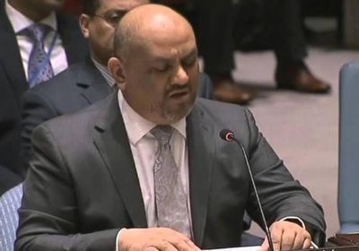 وزير الخارجية: لم نزرع لغماً واحداً في مناطق سيطرتنا